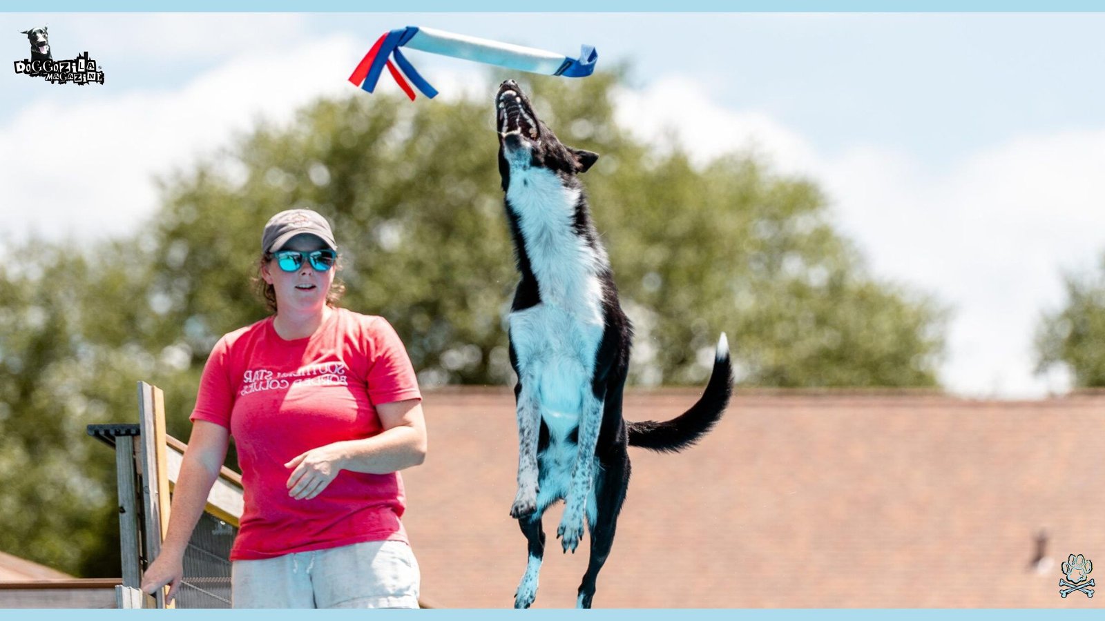Dog making a big jump to catch and fetch