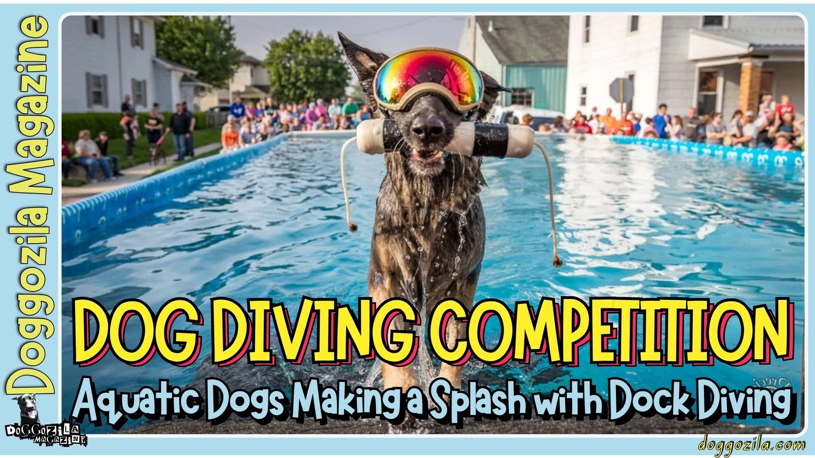 Dog Diving Competition: Aquatic Dogs Making a Splash