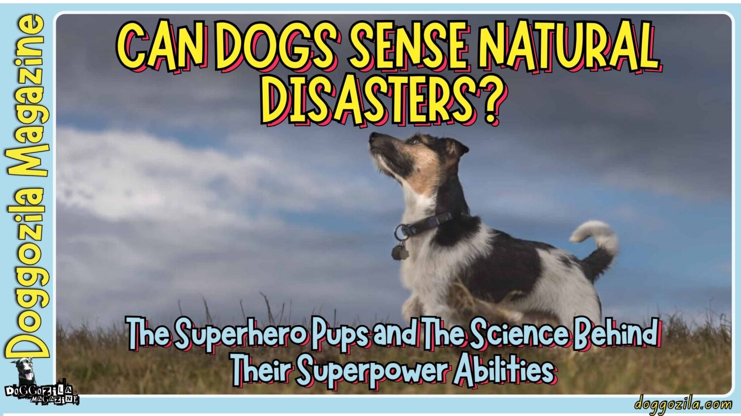 Did You know That It Is a A Scientific Fact That Dogs Can Sense Natural Disasters