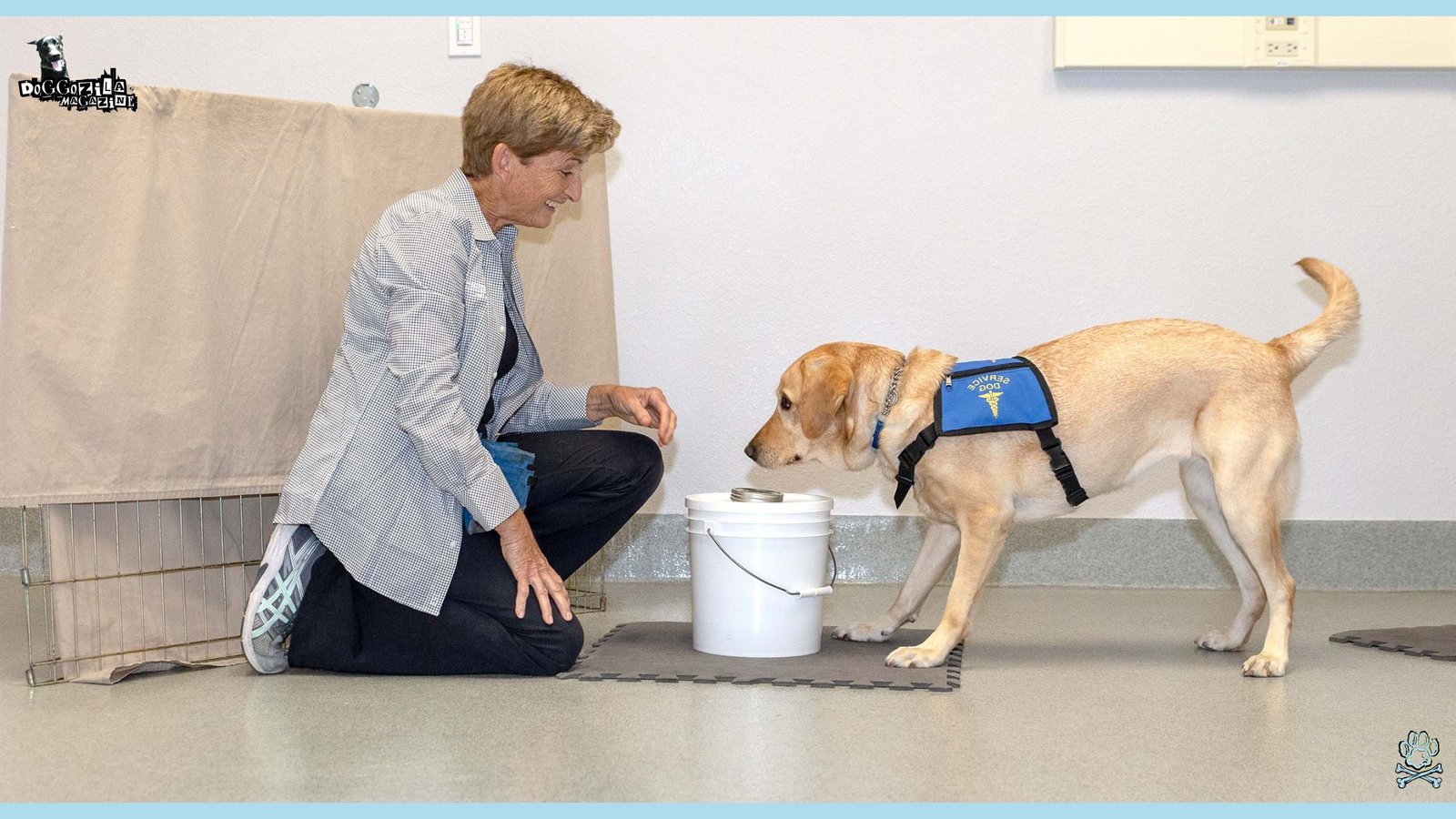 service dog training