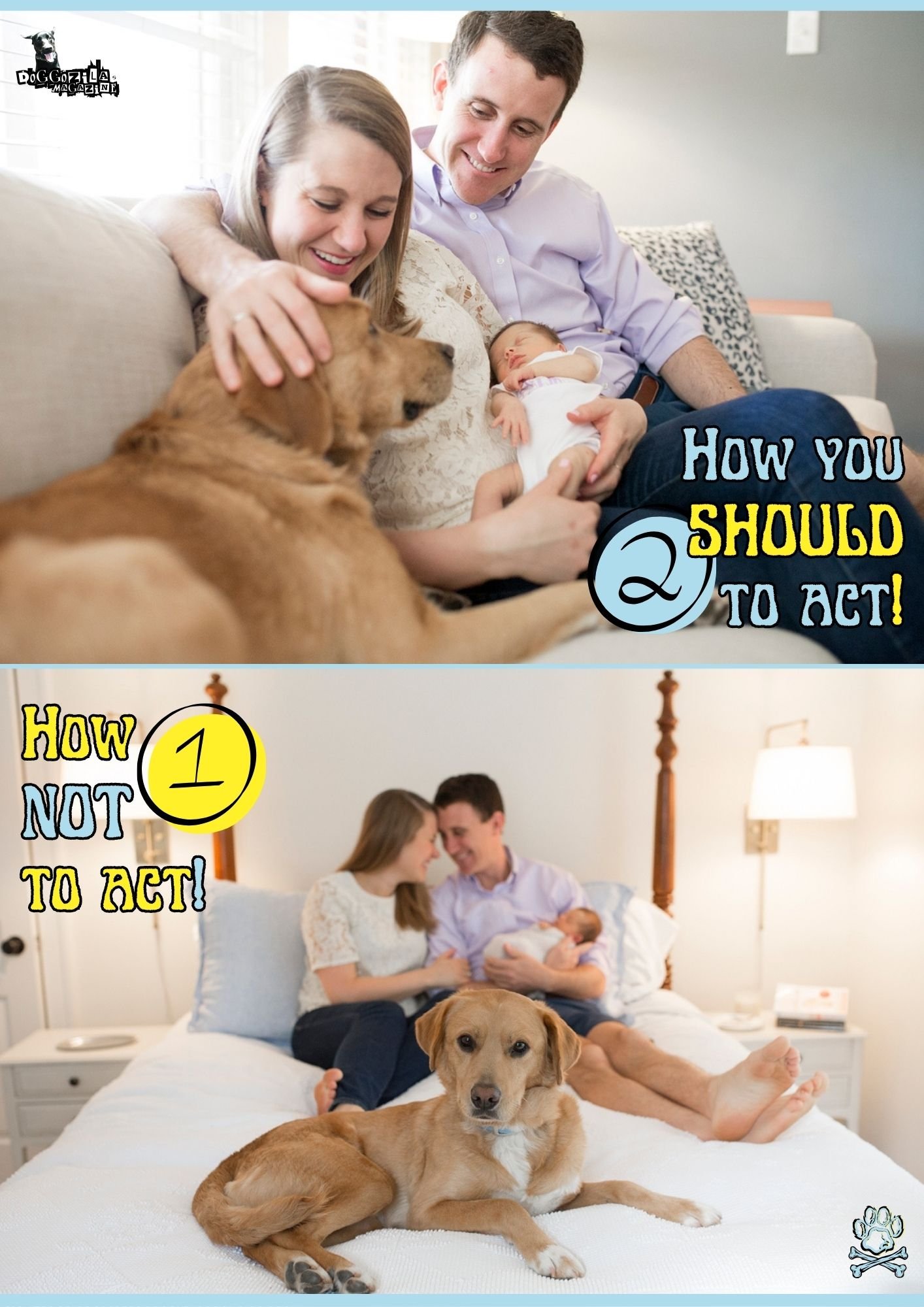 What you should do in order dogs not to get jealous of the babies