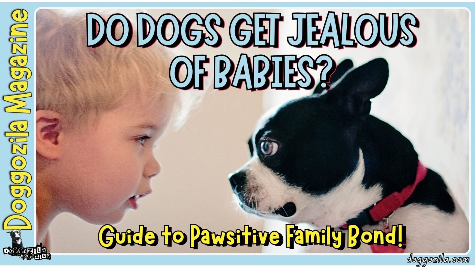 Guide to Pawsitive Family Bond and Training Your Dogs Not To Get Jealous of Any Babies