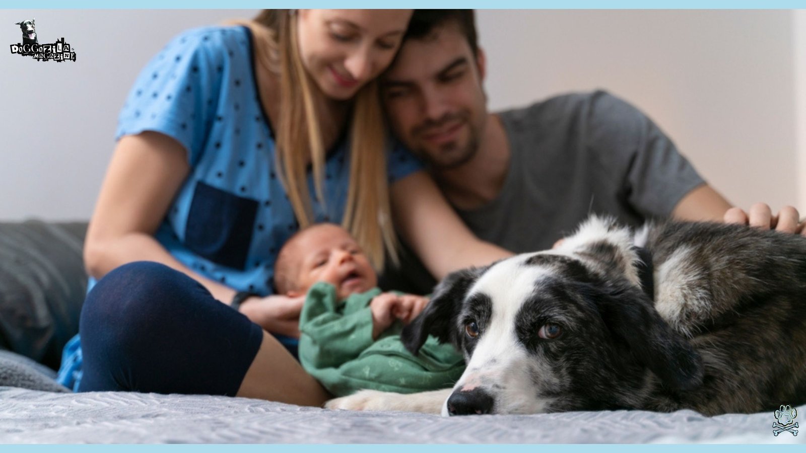 Have you wondered sometimes do dogs get jealous of babies or other kids in the family?