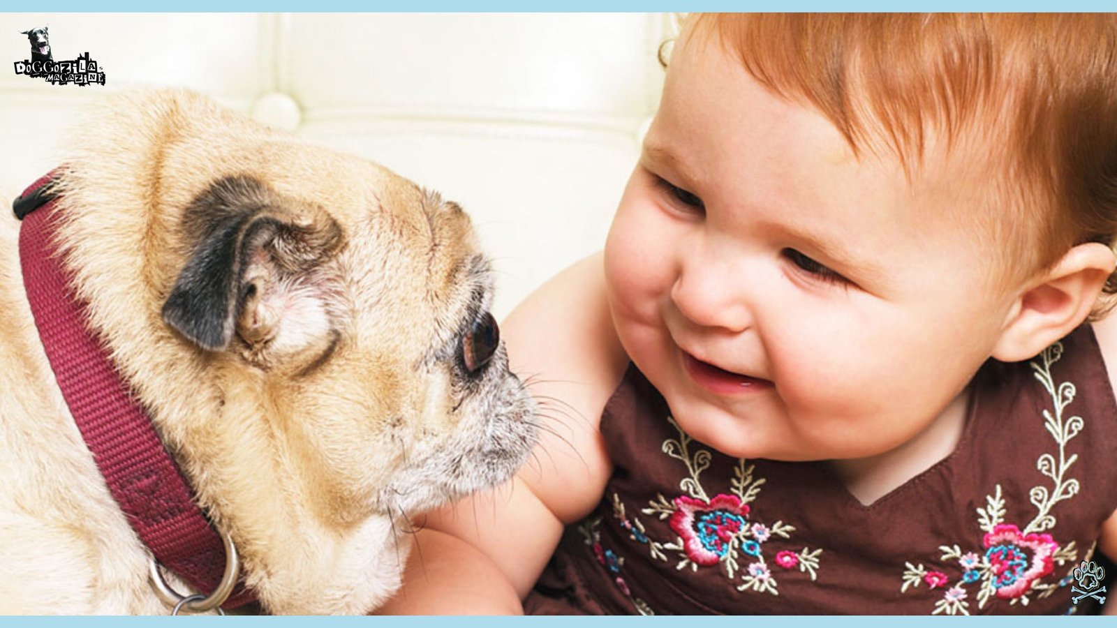 the baby look the dog in the eyes