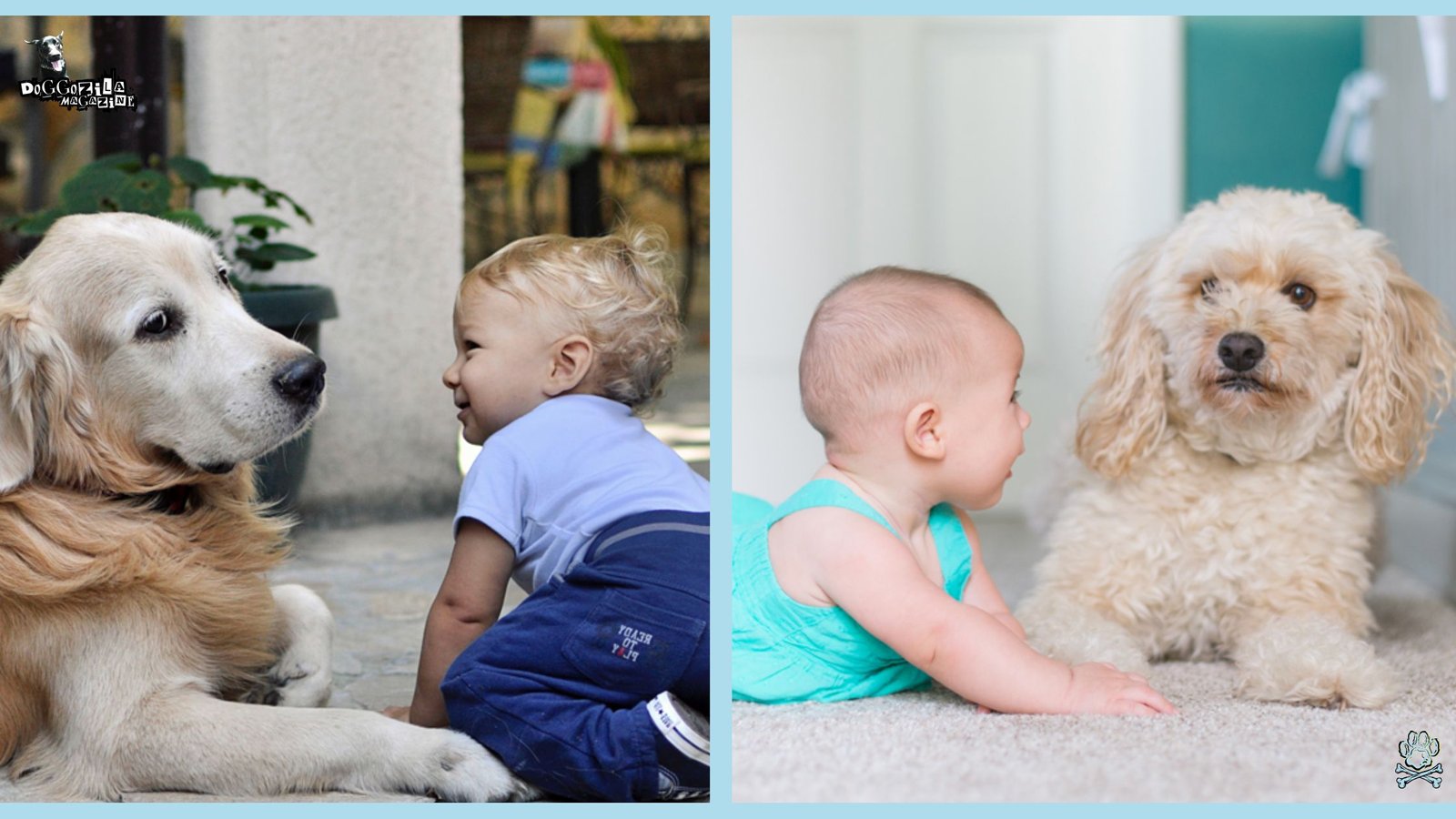 two different dogs with babies but same feeling of giving the whale eye