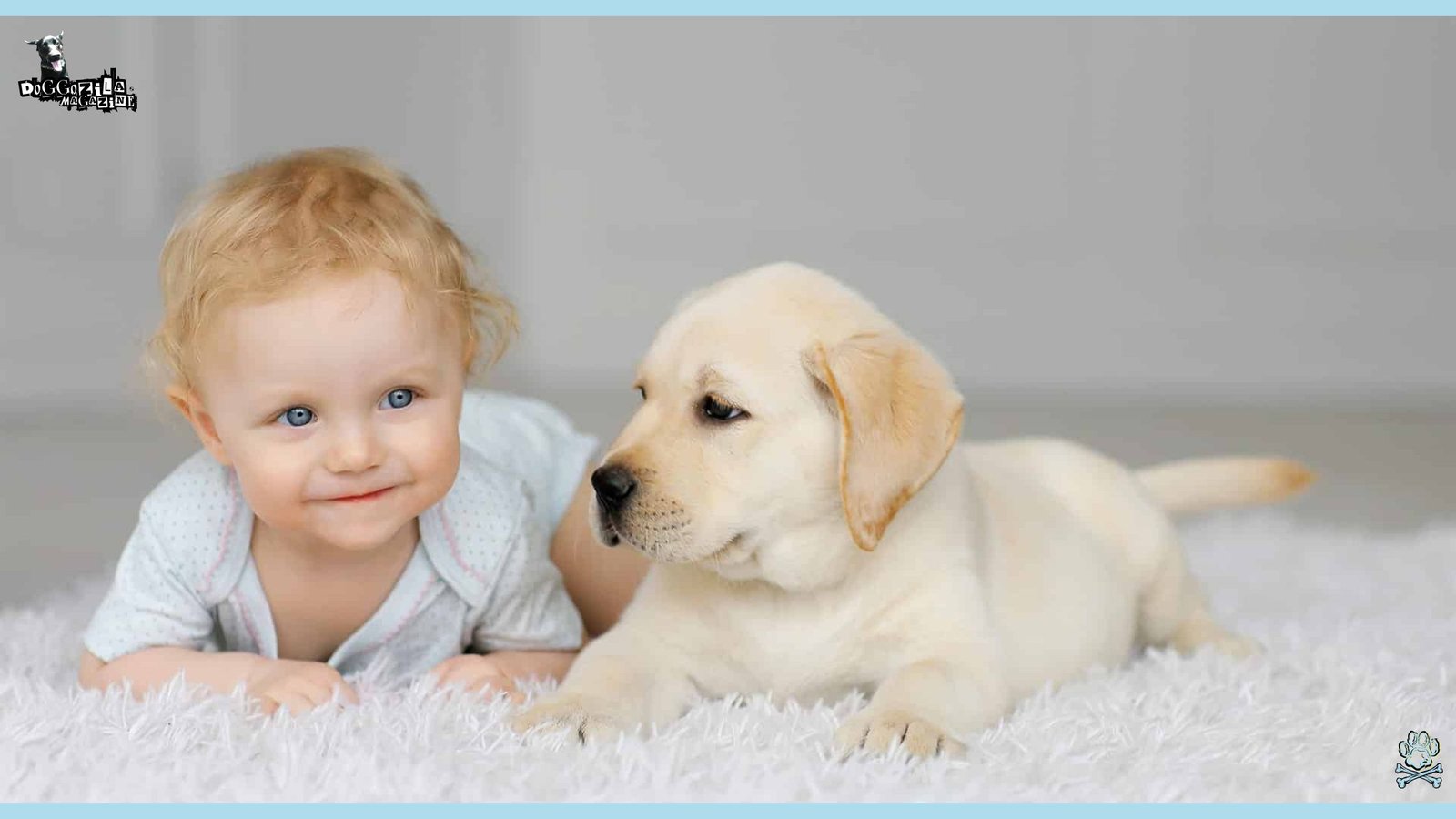 Did You Know That There Are Some Dogs That Get Jealous of Newborn Babies