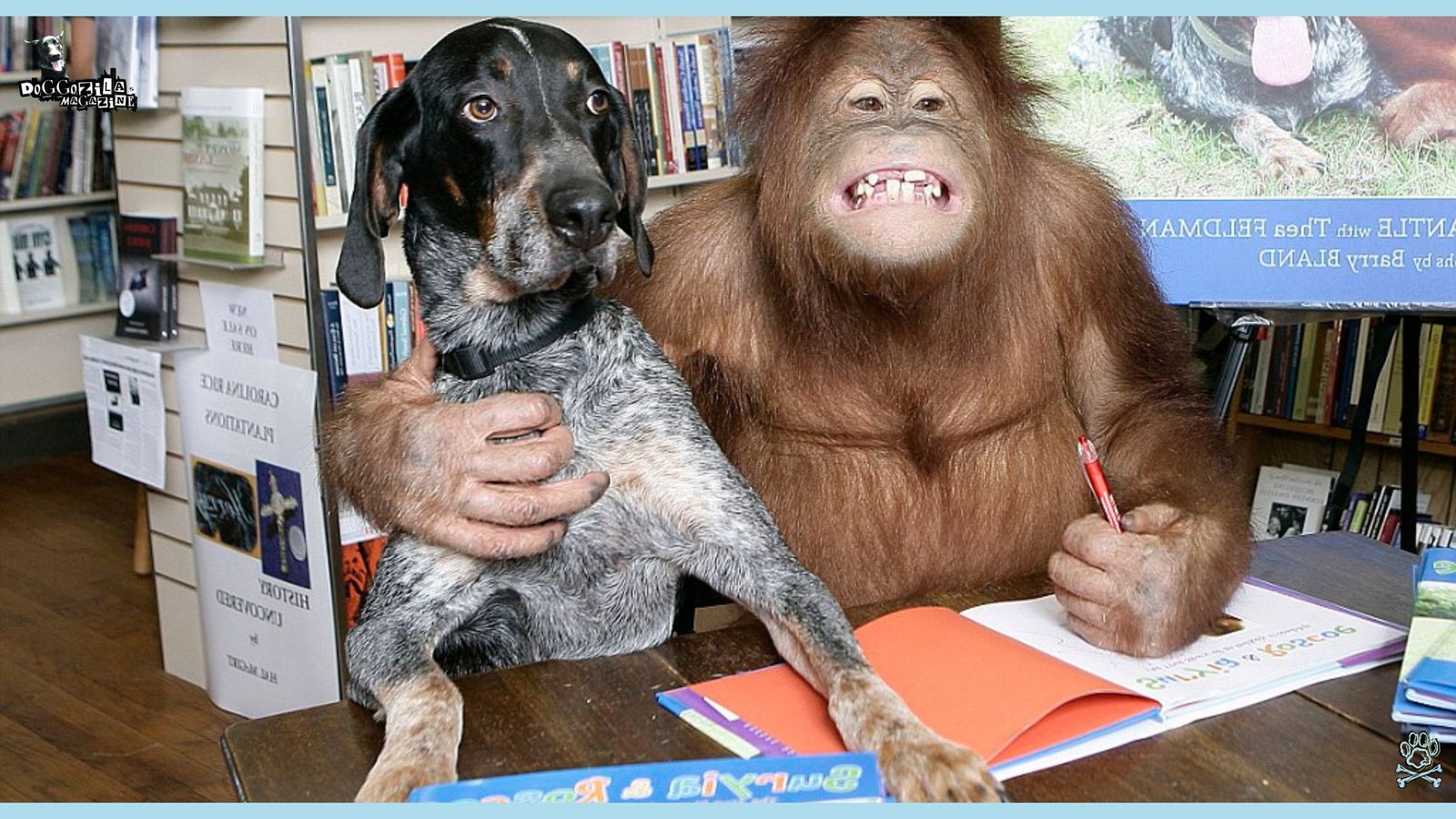 dog and monkey are best friends