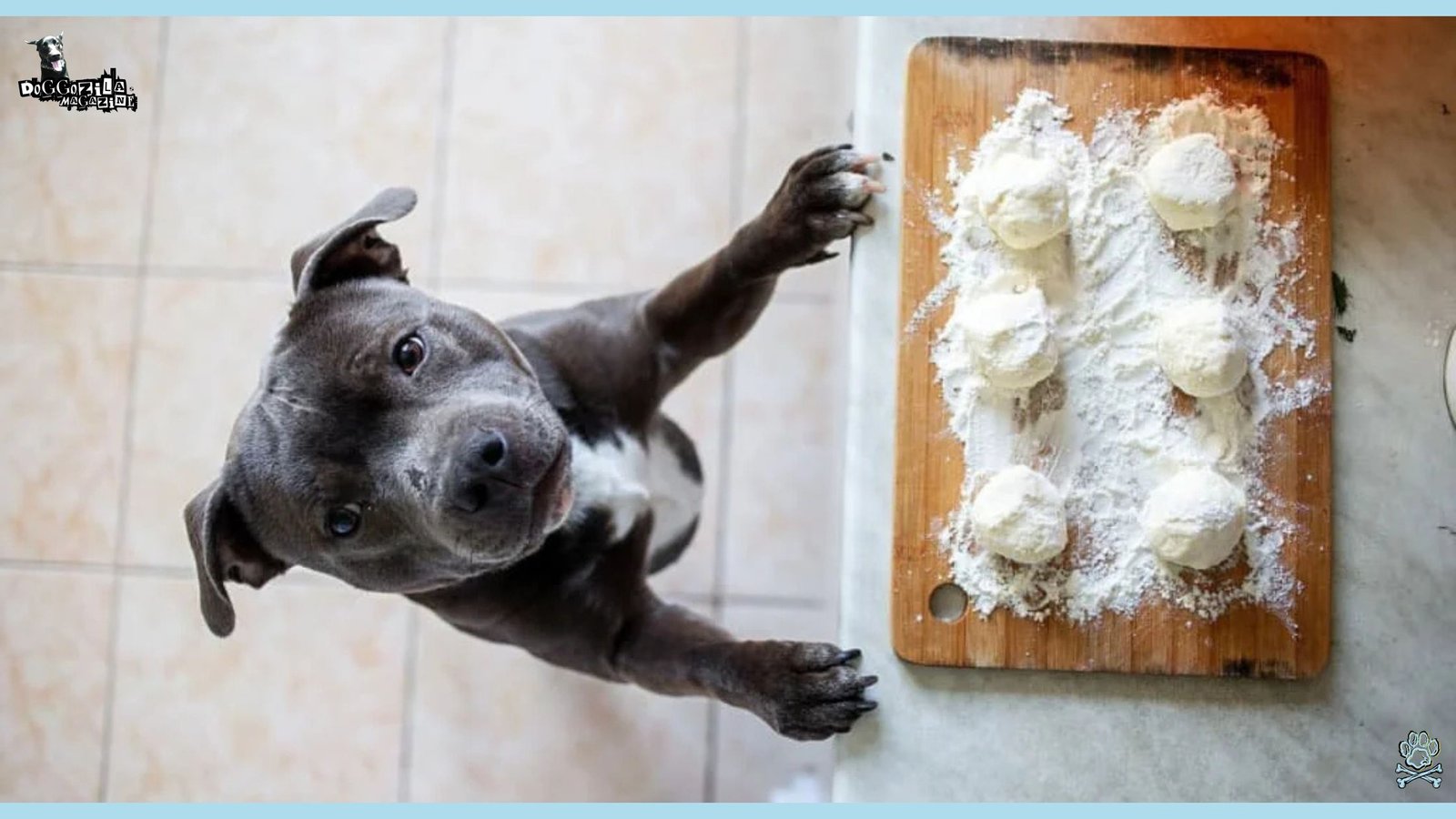 This Photo Can Answer The Question Does Your Dog Love You More Than Food