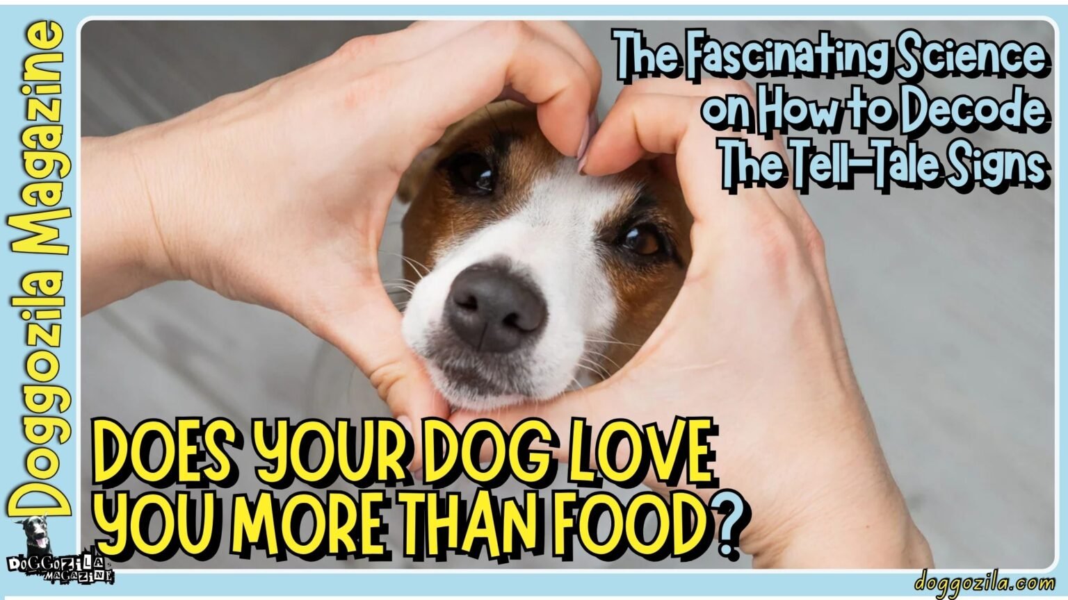 This Article Will Answer The Question Does Your Dog Love You More Than Food