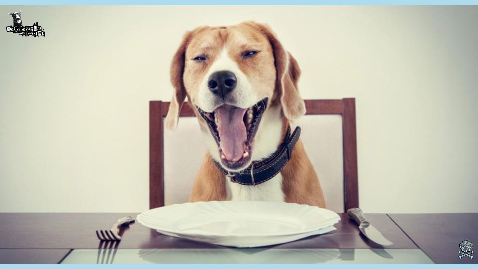sleepy dog sitting at the table waiting for his diner