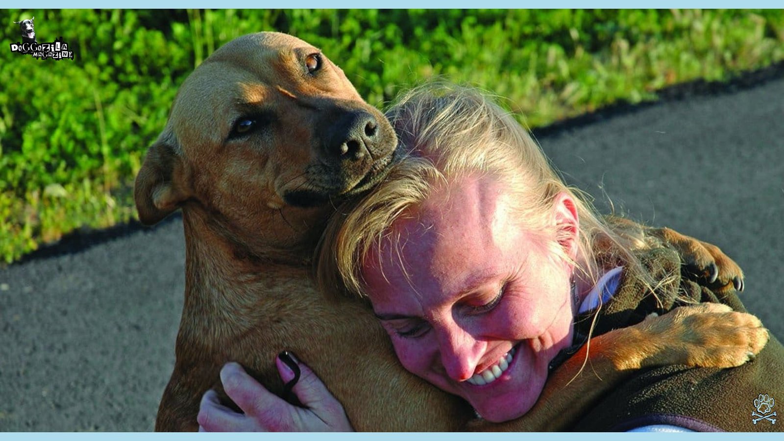 This Hug Answer the Question Does Your Dog Love You More Than Food