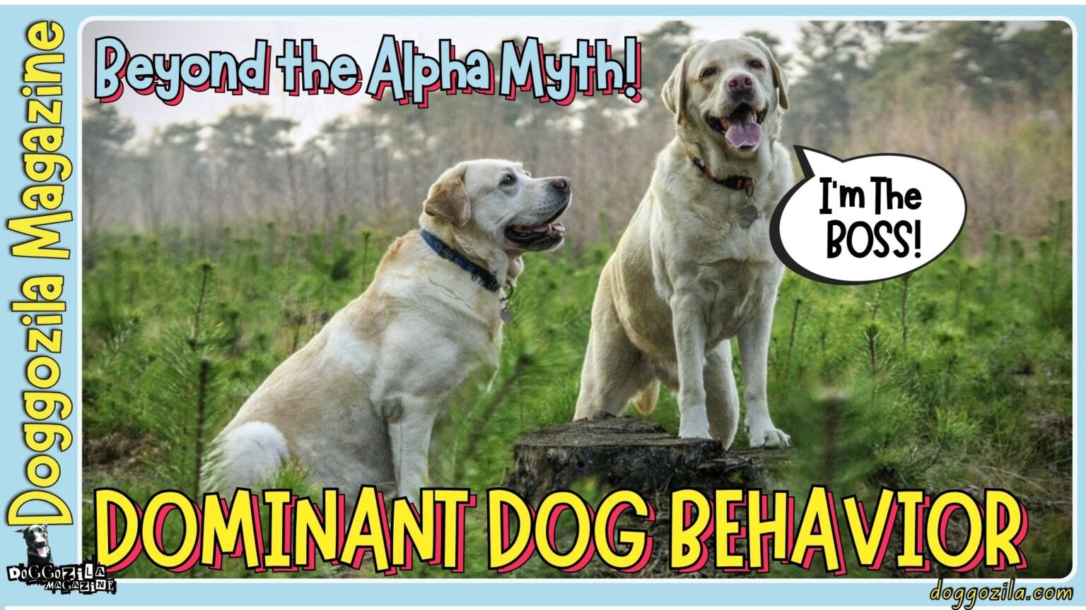Cover Photo for the Article on Dominant Dog Behavior