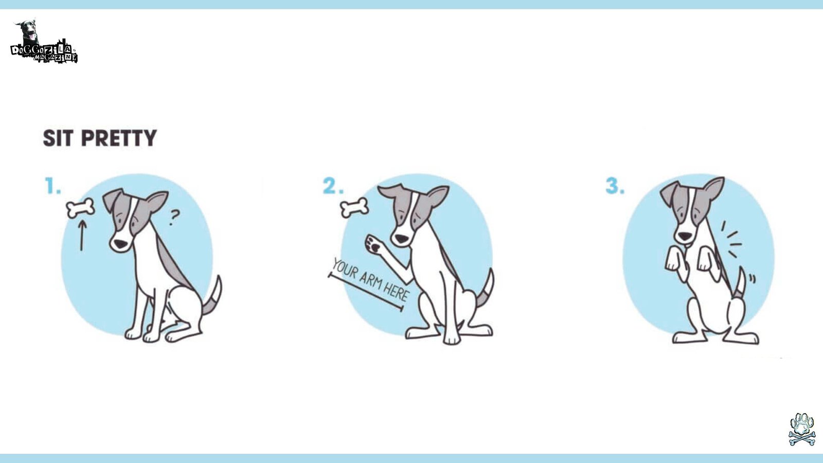 Step by step How to Teach Your Dog to Sit Pretty