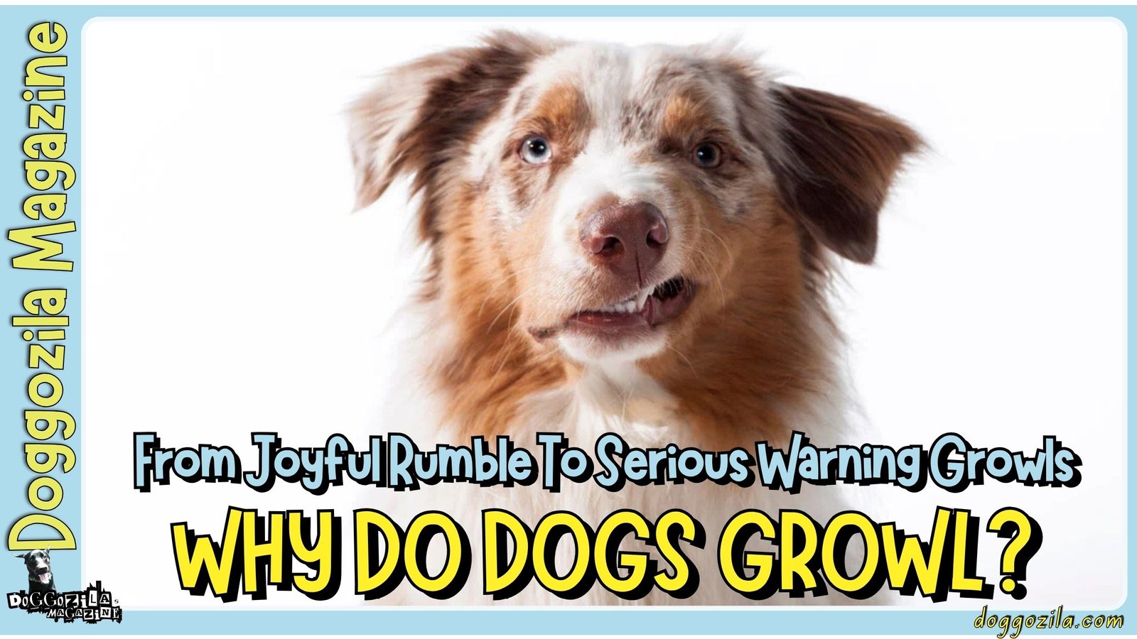 Why Do Dogs Growl? Joyful Rumble To Serious Growls