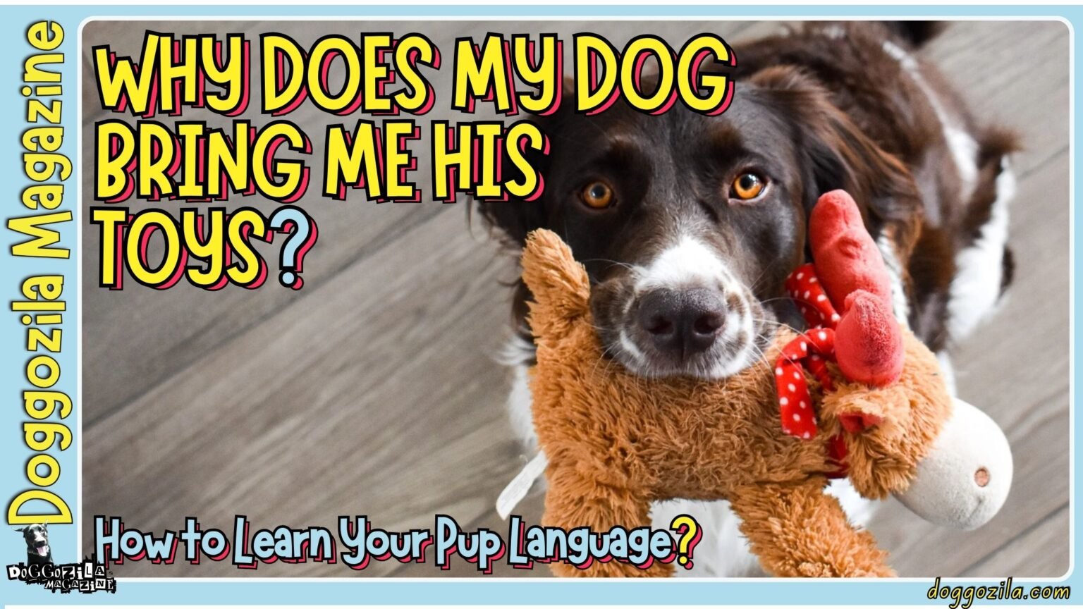 Doggozila Magazine is answering the question that many dog owners have, Why Does My Dog Bring Me Toys or other objects