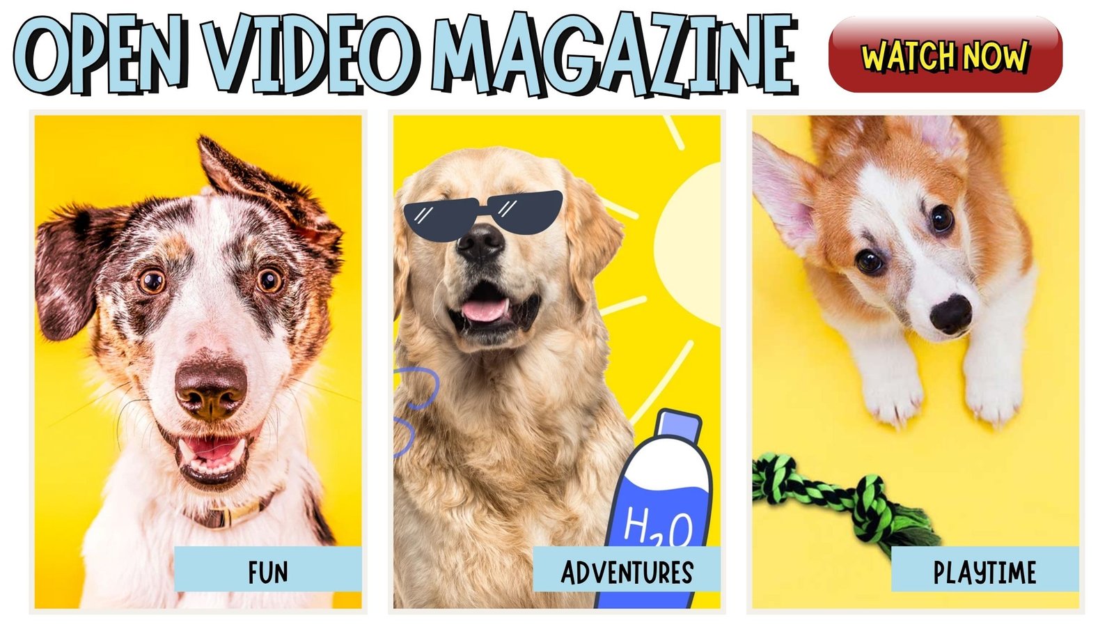dog videos magazine audio articles doggozila