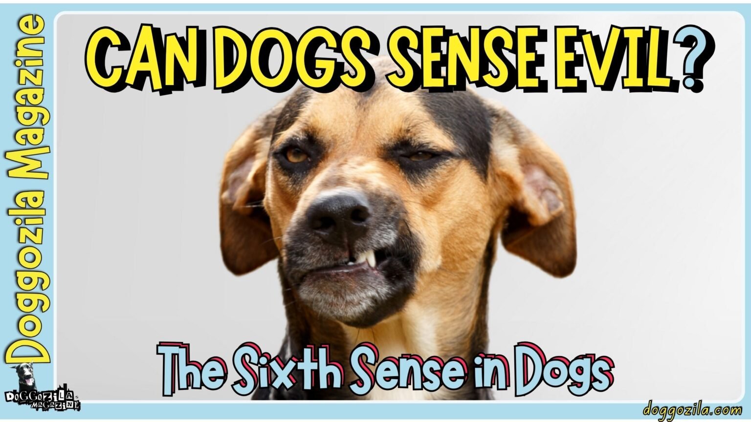Can Dogs Sense Evil - The Sixth Sense in Dogs