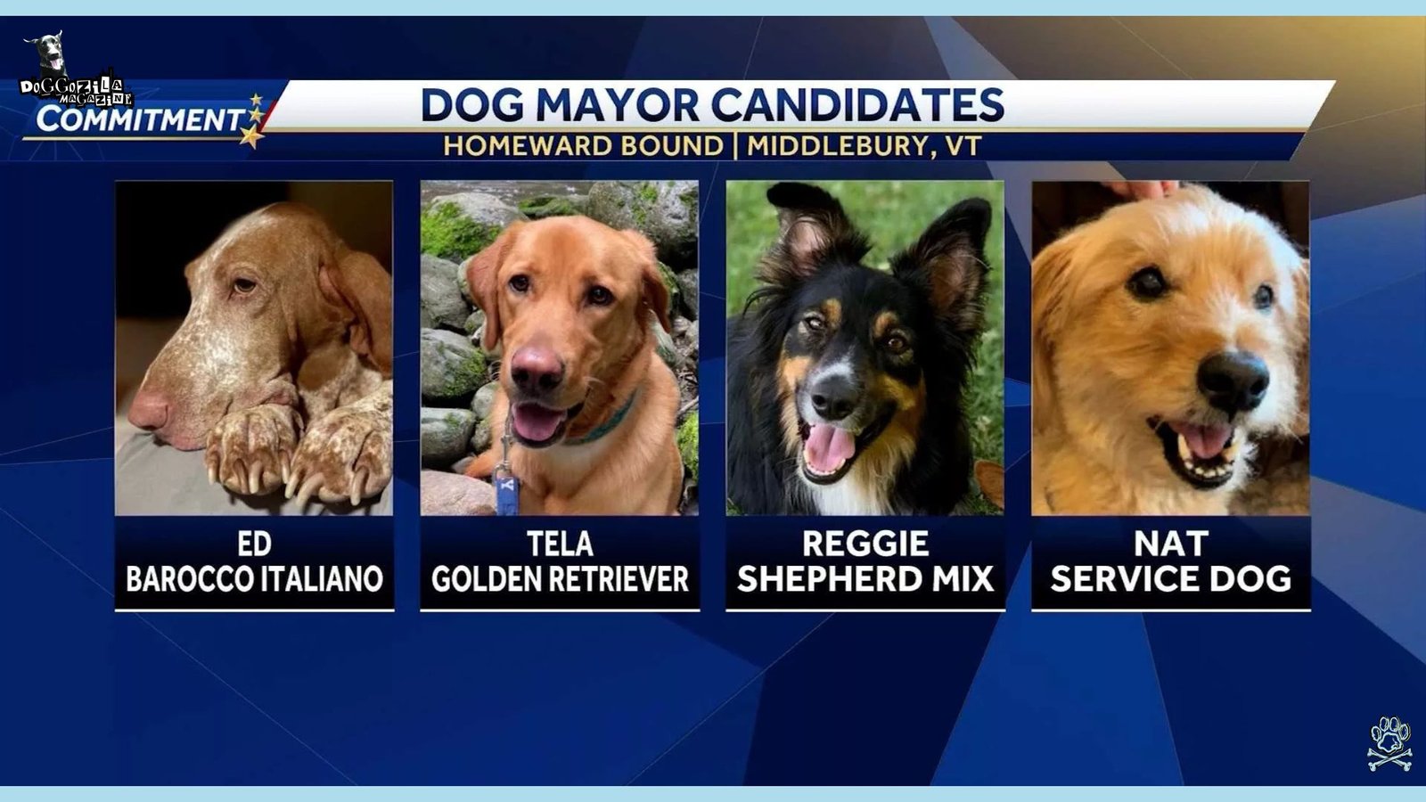 Can Your Dog Be a Town Mayor