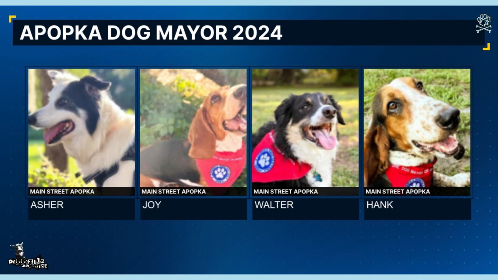 Can Your Dog Be a Town Mayor