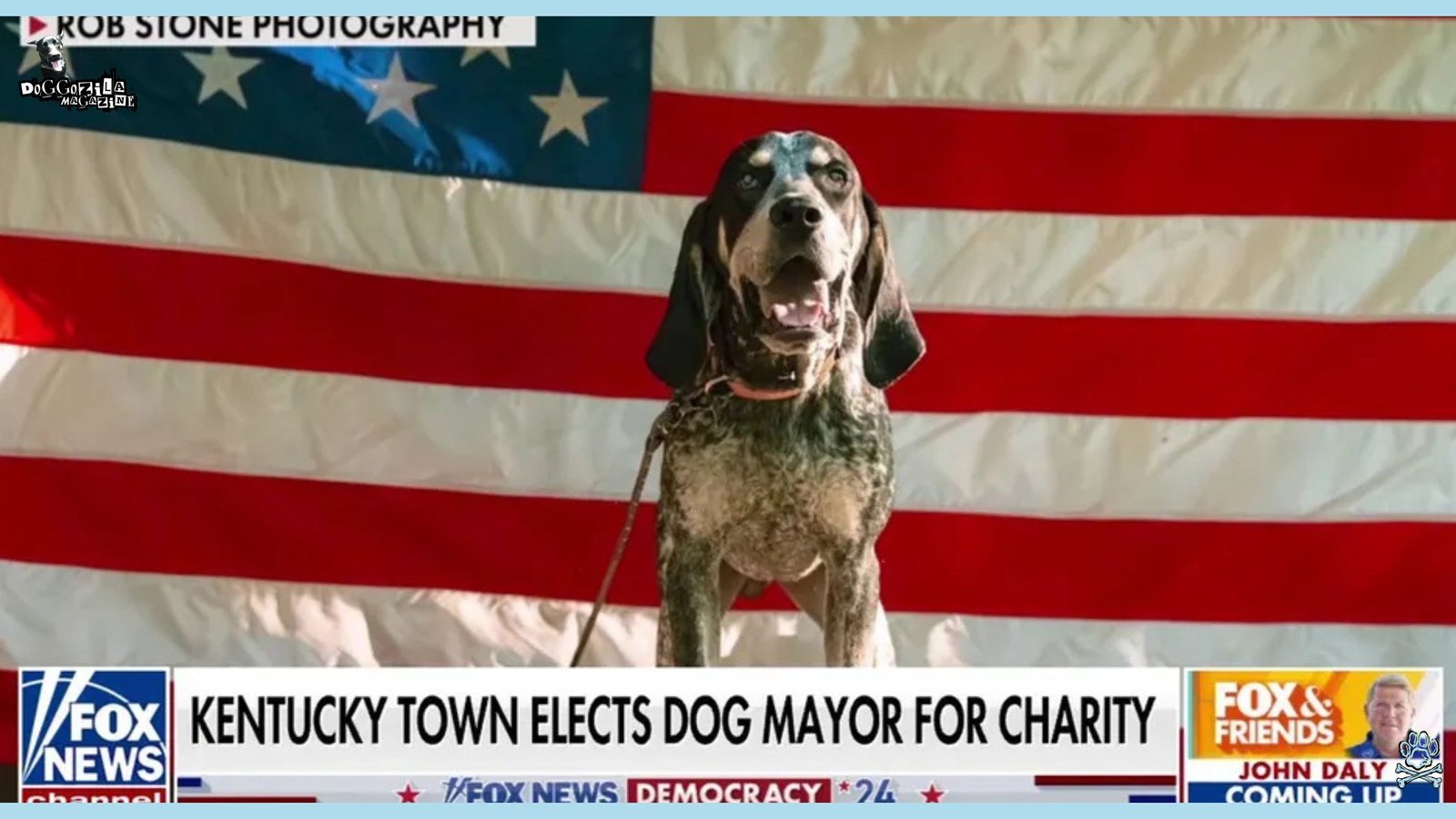 Kentacky town elects dog mayor for charity