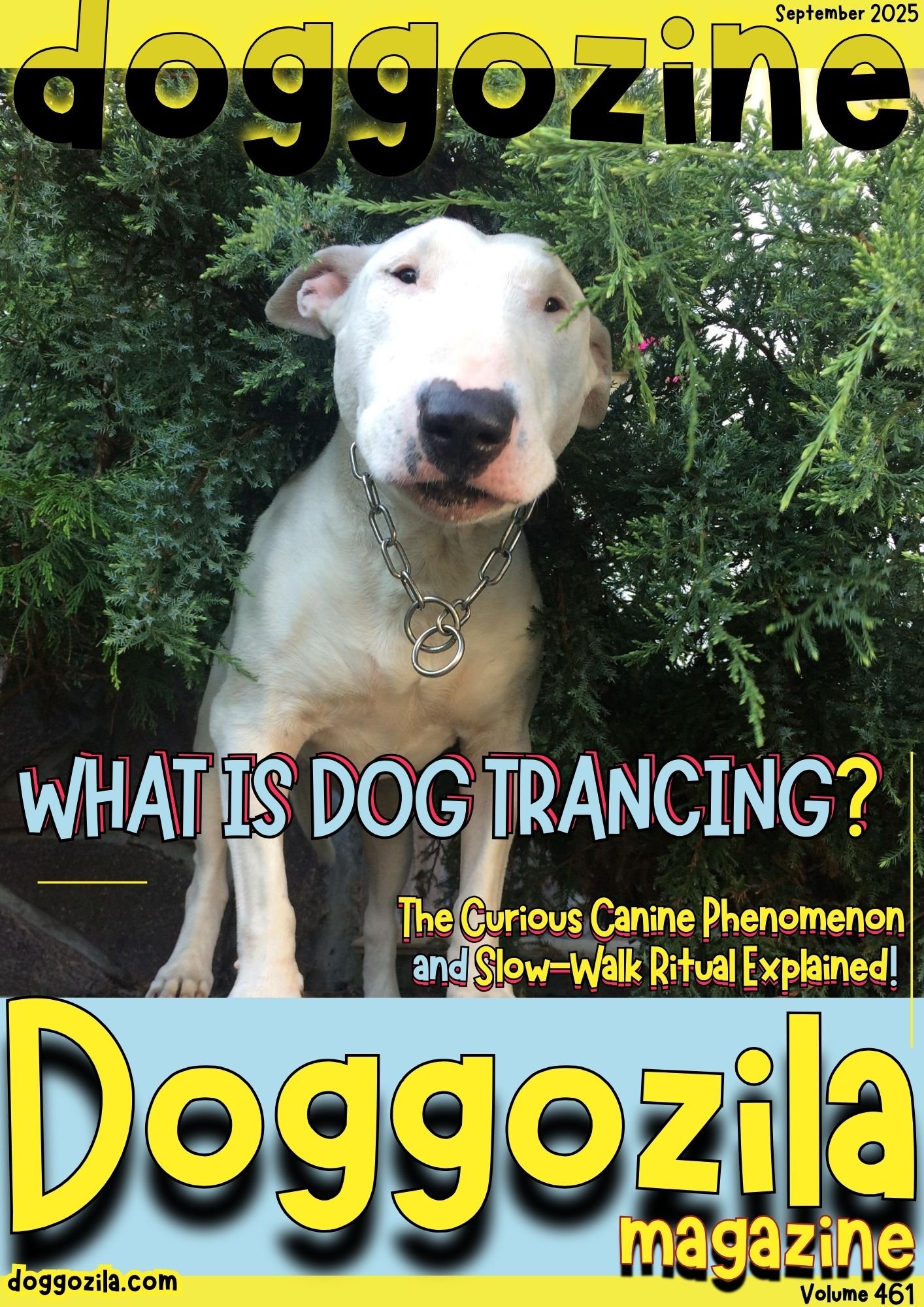 Cover Design for Doggozila Magazine Volume 461