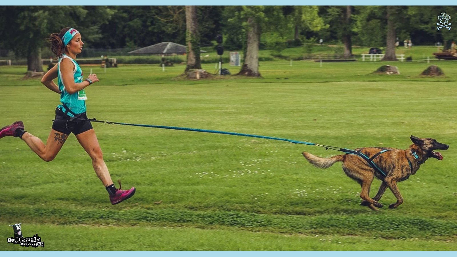 Guide into Canicross or Cross Country Running with Dogs