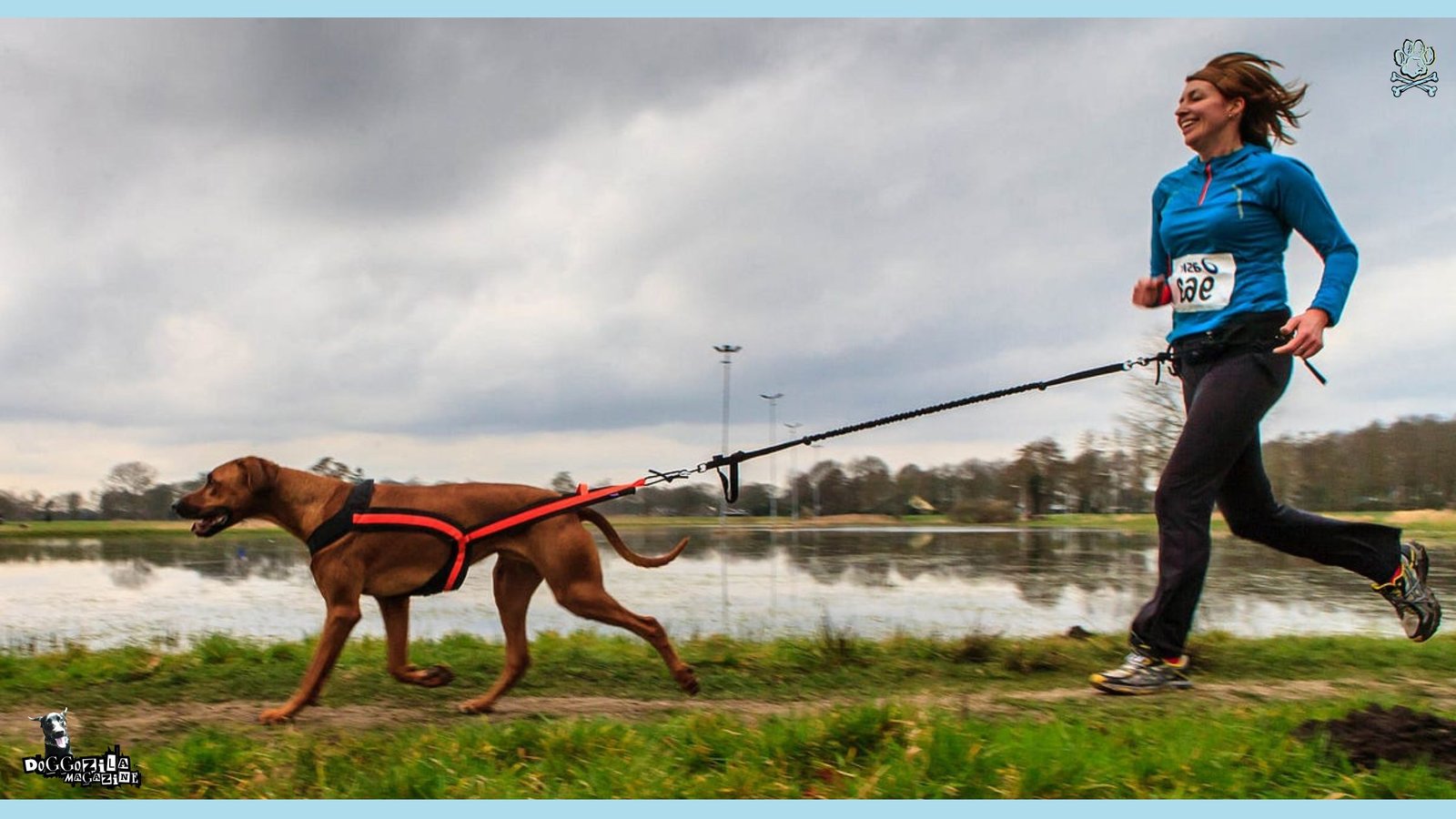 canicross - have fun while run with your furry friend
