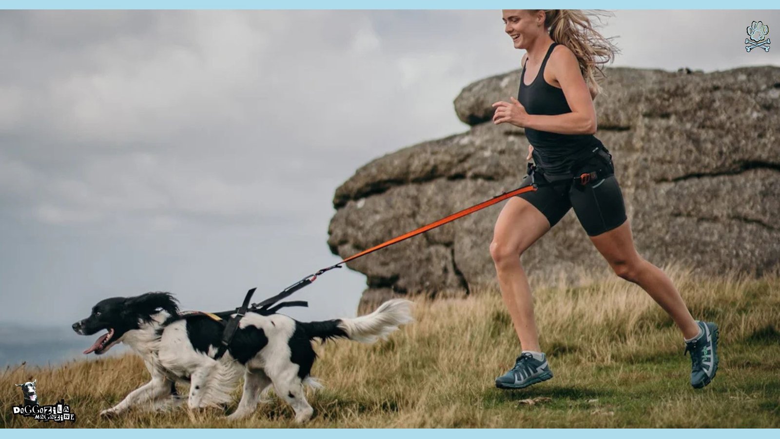canicross - endurance dog sport