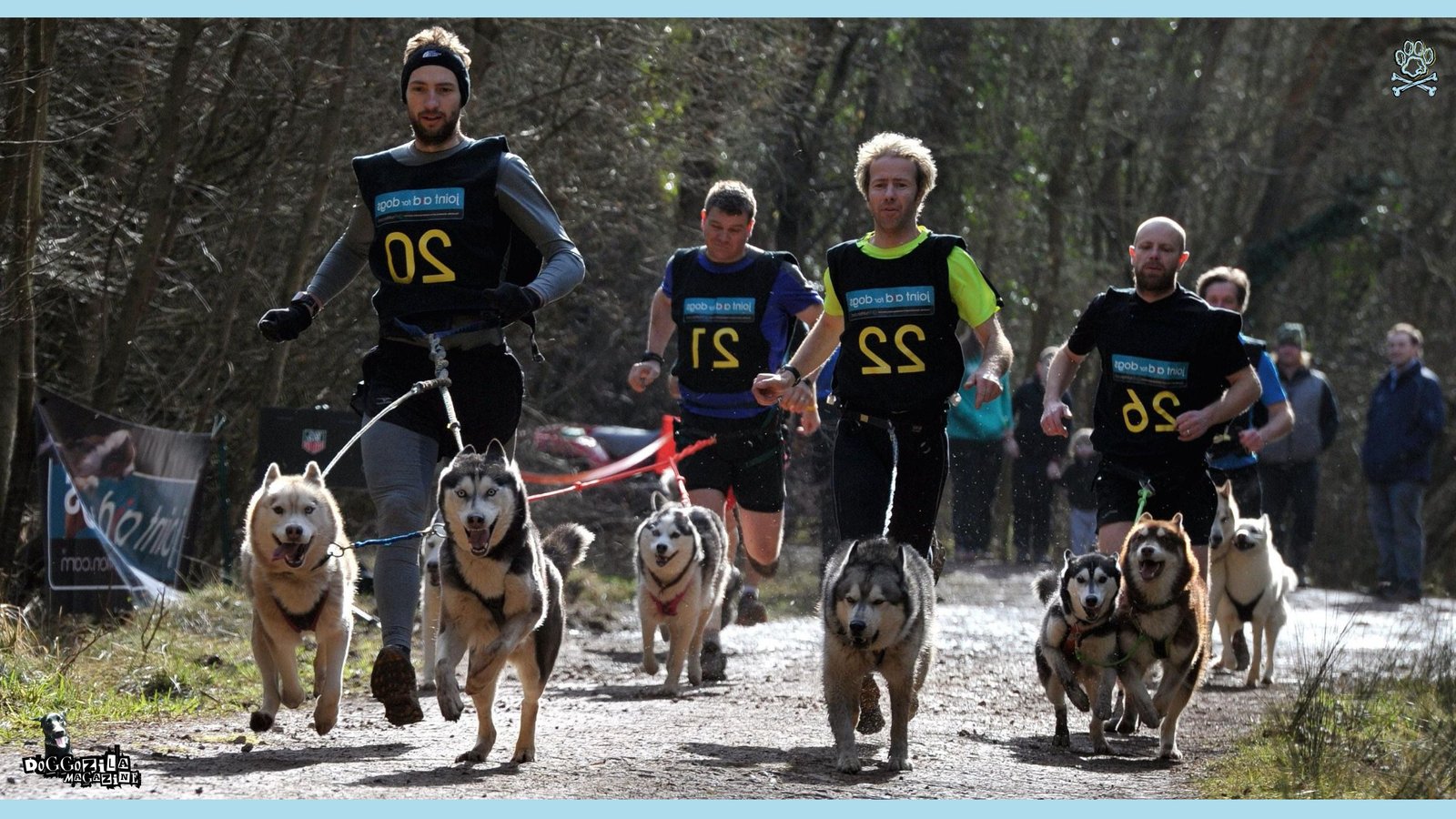 Cross Country Running with Dogs - canicross dog sport