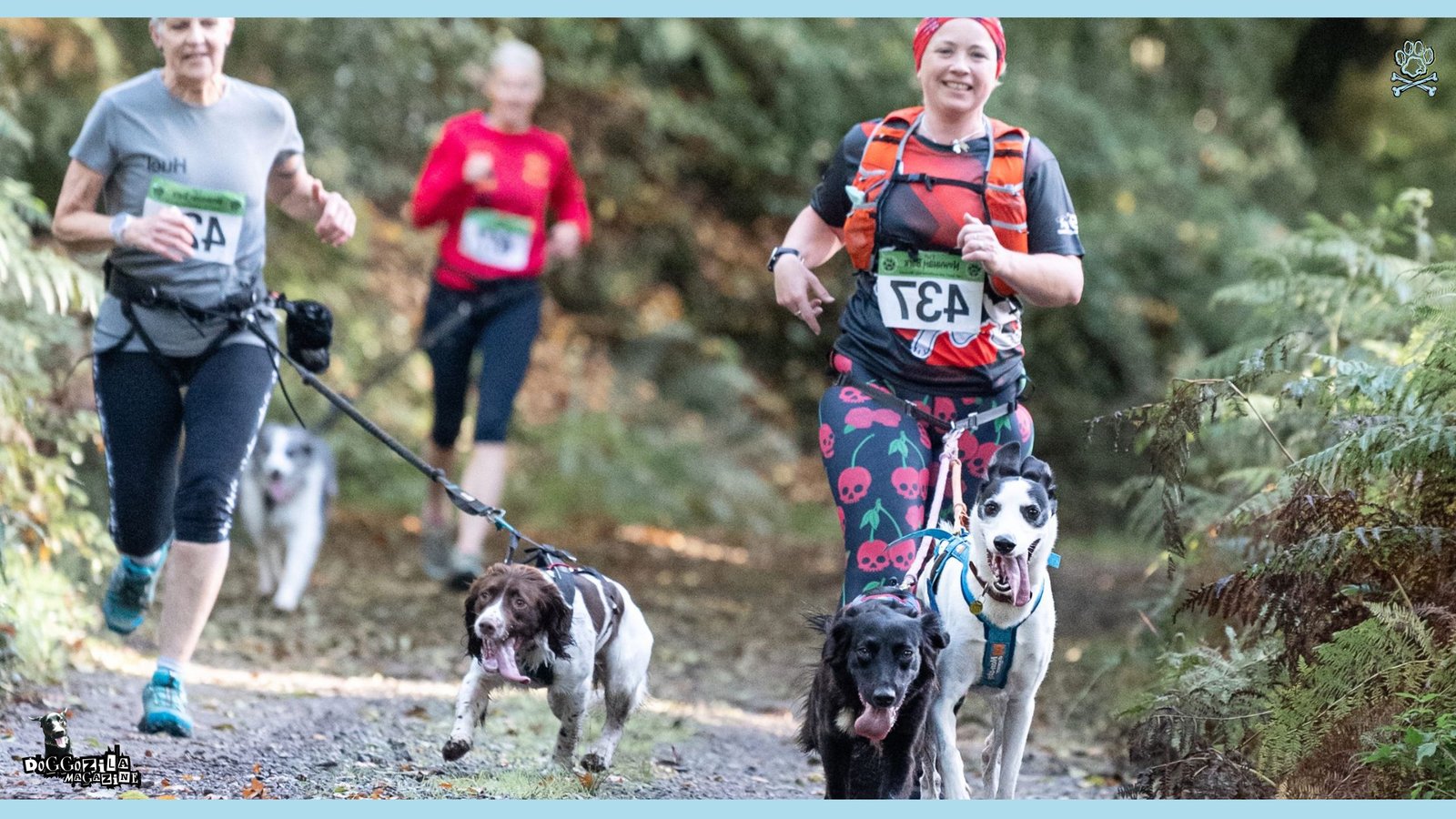 Cross Country Running with Dogs - canicross sport with dogs