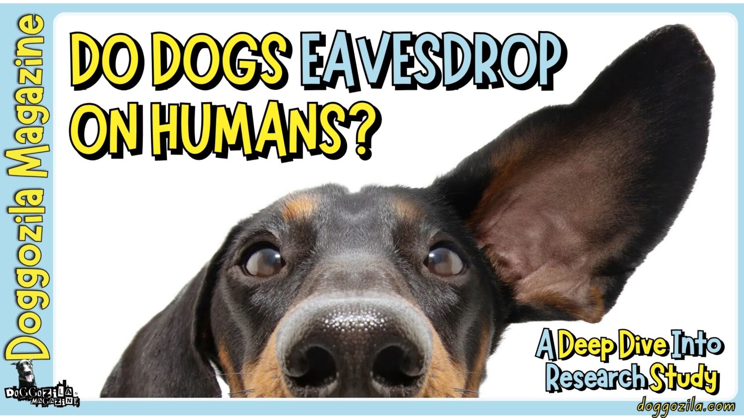 Do Dogs Eavesdrop on Humans? A Deep Dive Study