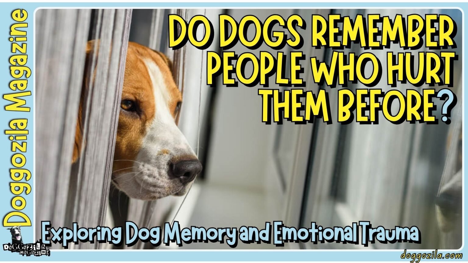 Did You Know That Dogs Remember The People Who Hurt Them Before in The Past