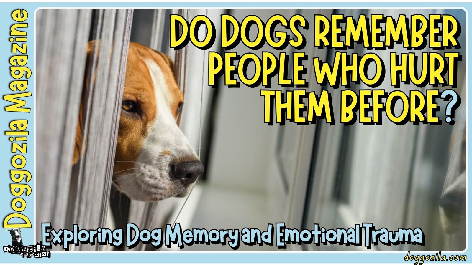Do Dogs Remember People Who Hurt Them Before?