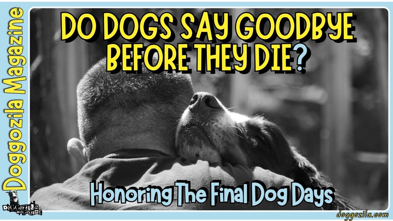 Did You Know That Dogs Do Say Goodbye Before They Die
