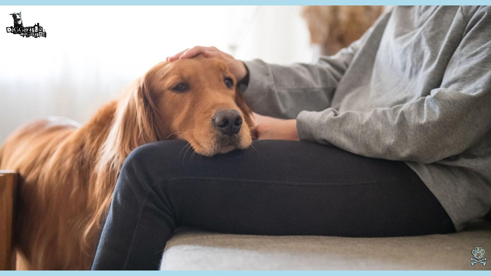 Did You Know That Dogs Do Say Goodbye Before They Die