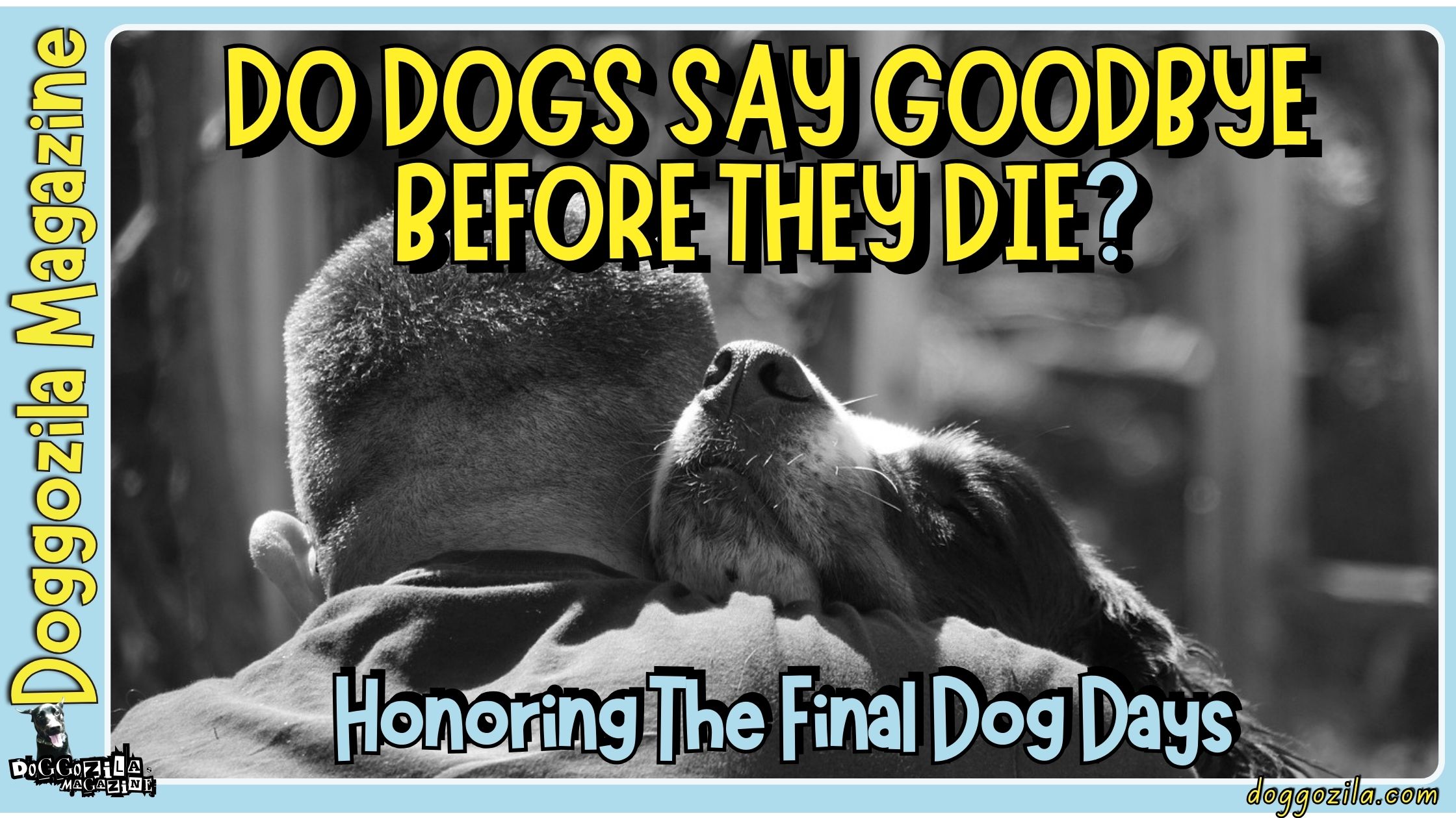 Did You Know That Dogs Do Say Goodbye Before They Die
