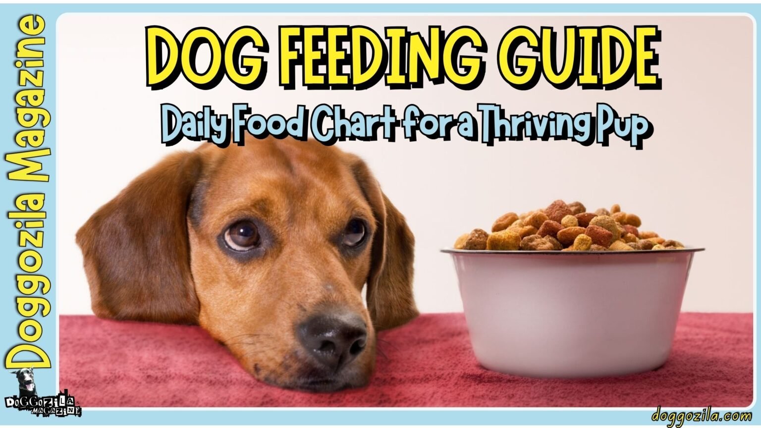 Dog Feeding Guide - Daily Food Chart for a Thriving Pup
