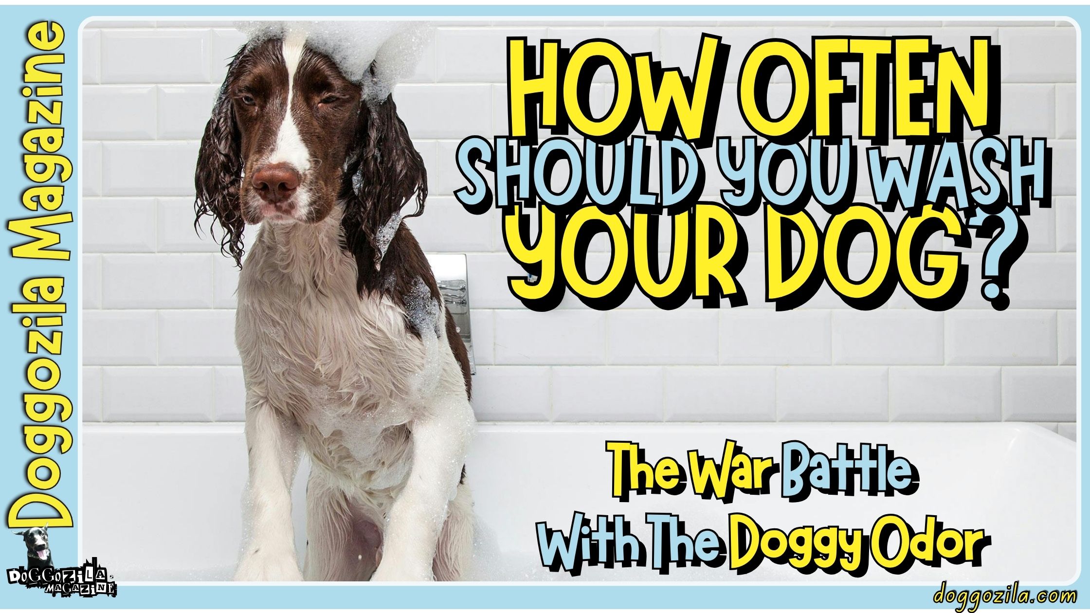 How Often Should You Wash Your Dog - The War Battle With The Doggy Odor