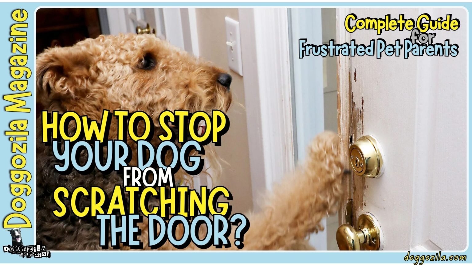 How to Stop Your Dog From Scratching the Door - Complete guide for frustrated pet parents