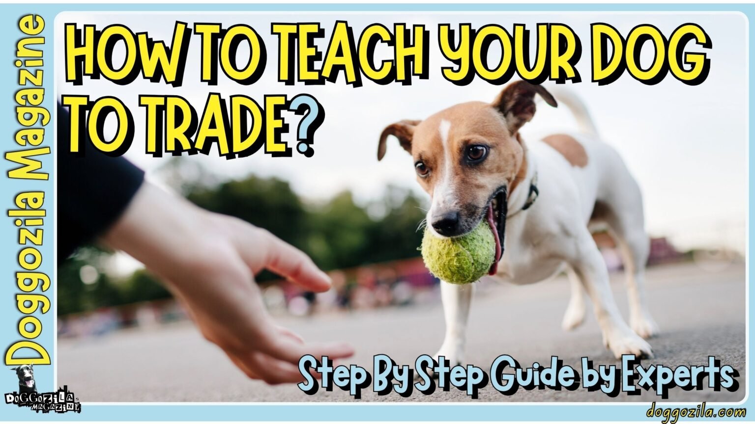 How to Teach Your Dog to Trade Toys and other Objects