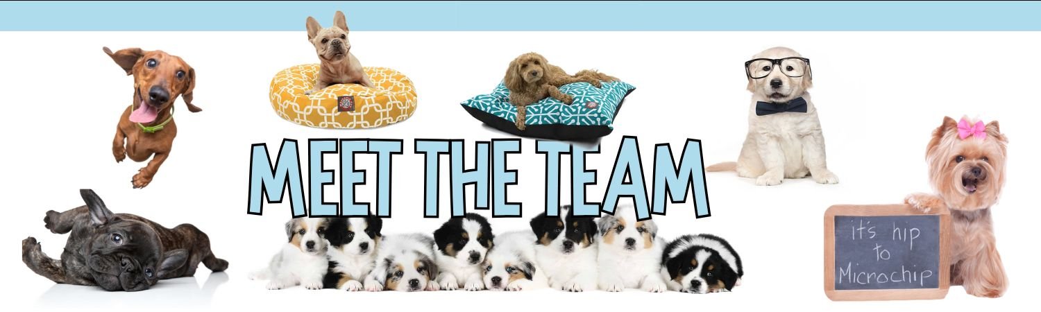 the doggozila magazine team
