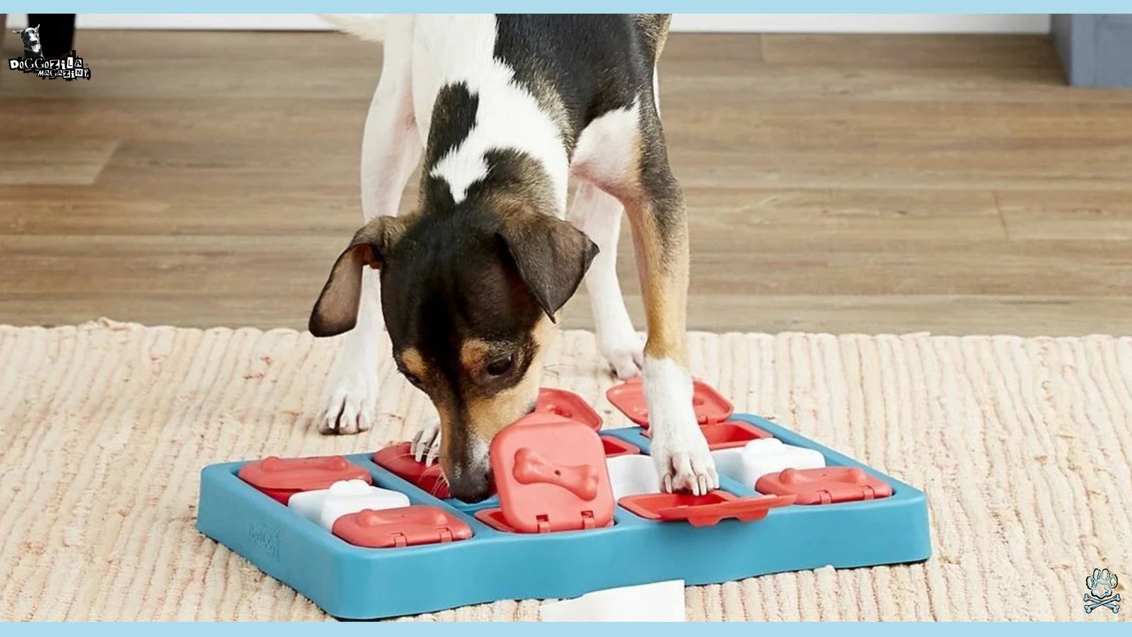 dog puzzles for mental stimulation
