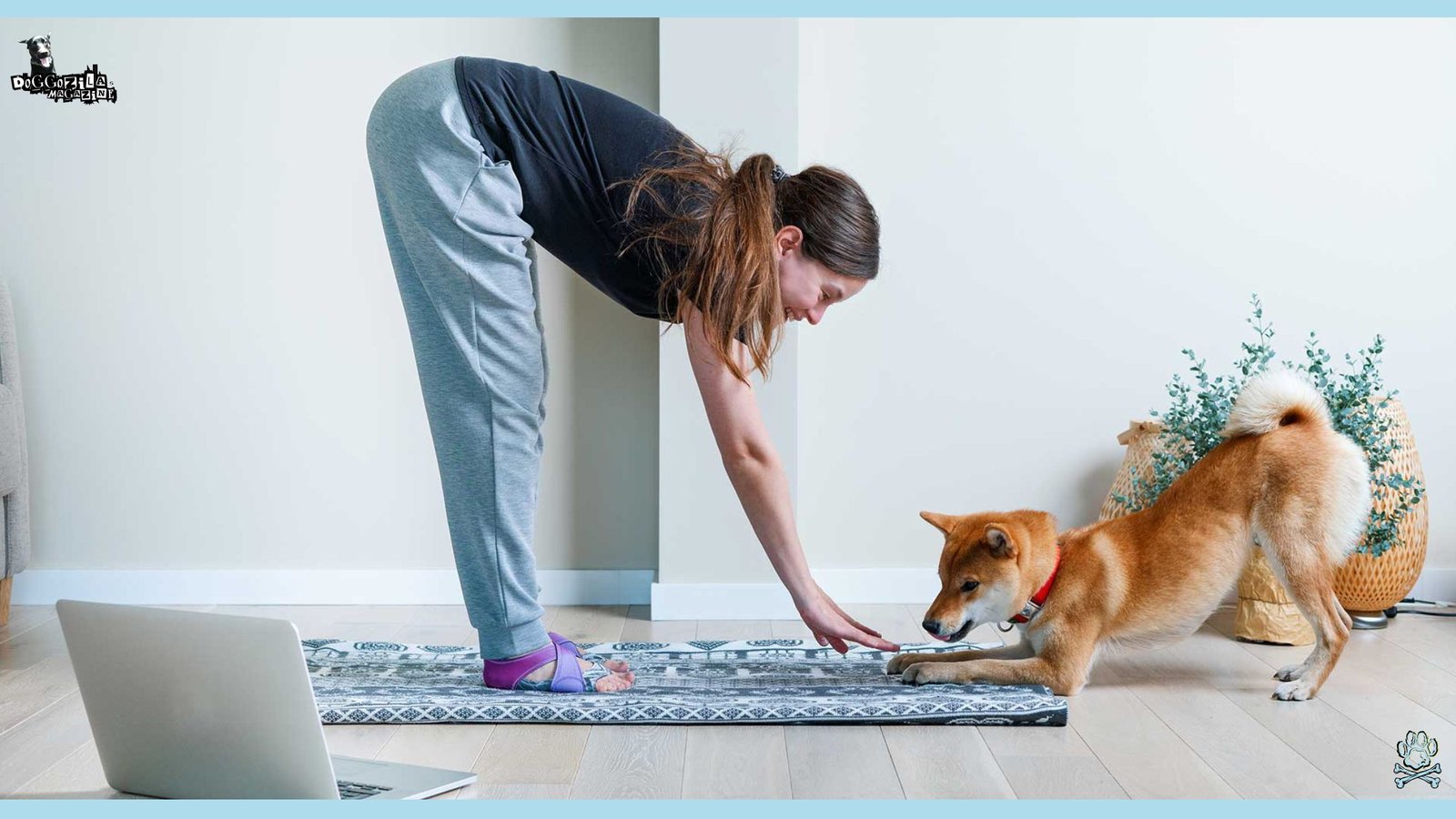 10 Essential Dog Behavior Tips for Every Owner - exercise is important