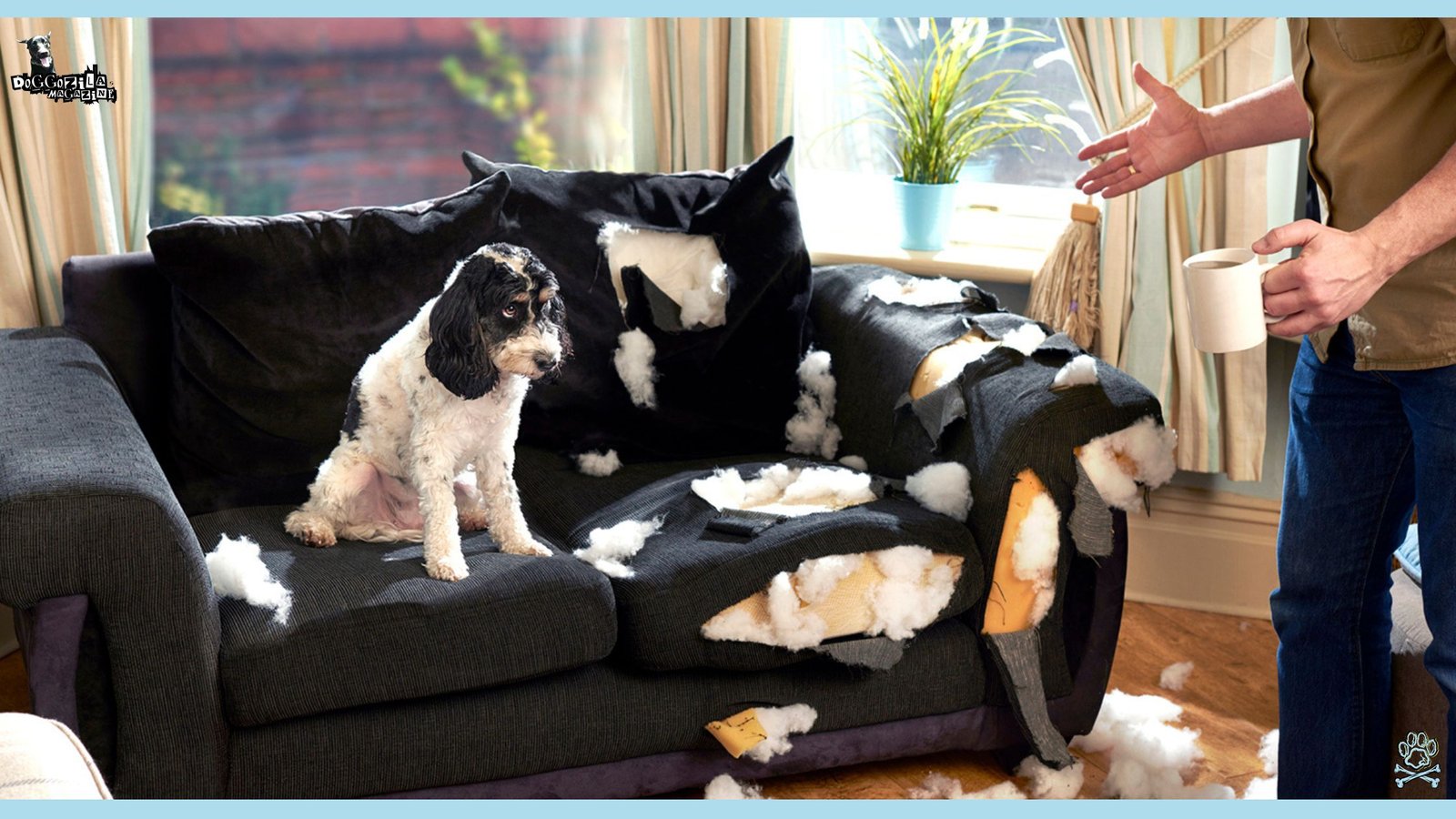 10 Essential Dog Behavior Tips - when to ask for help