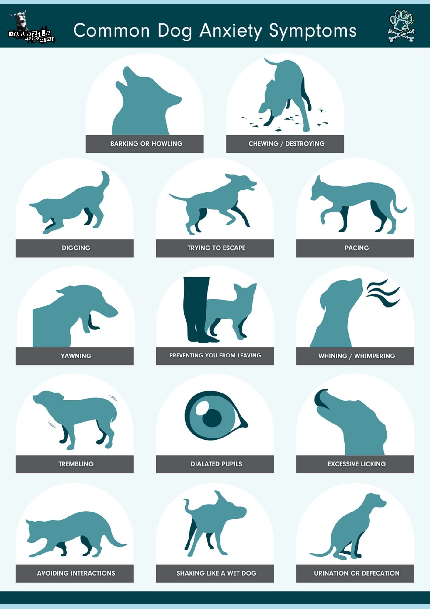 common dog anxiety Symptoms