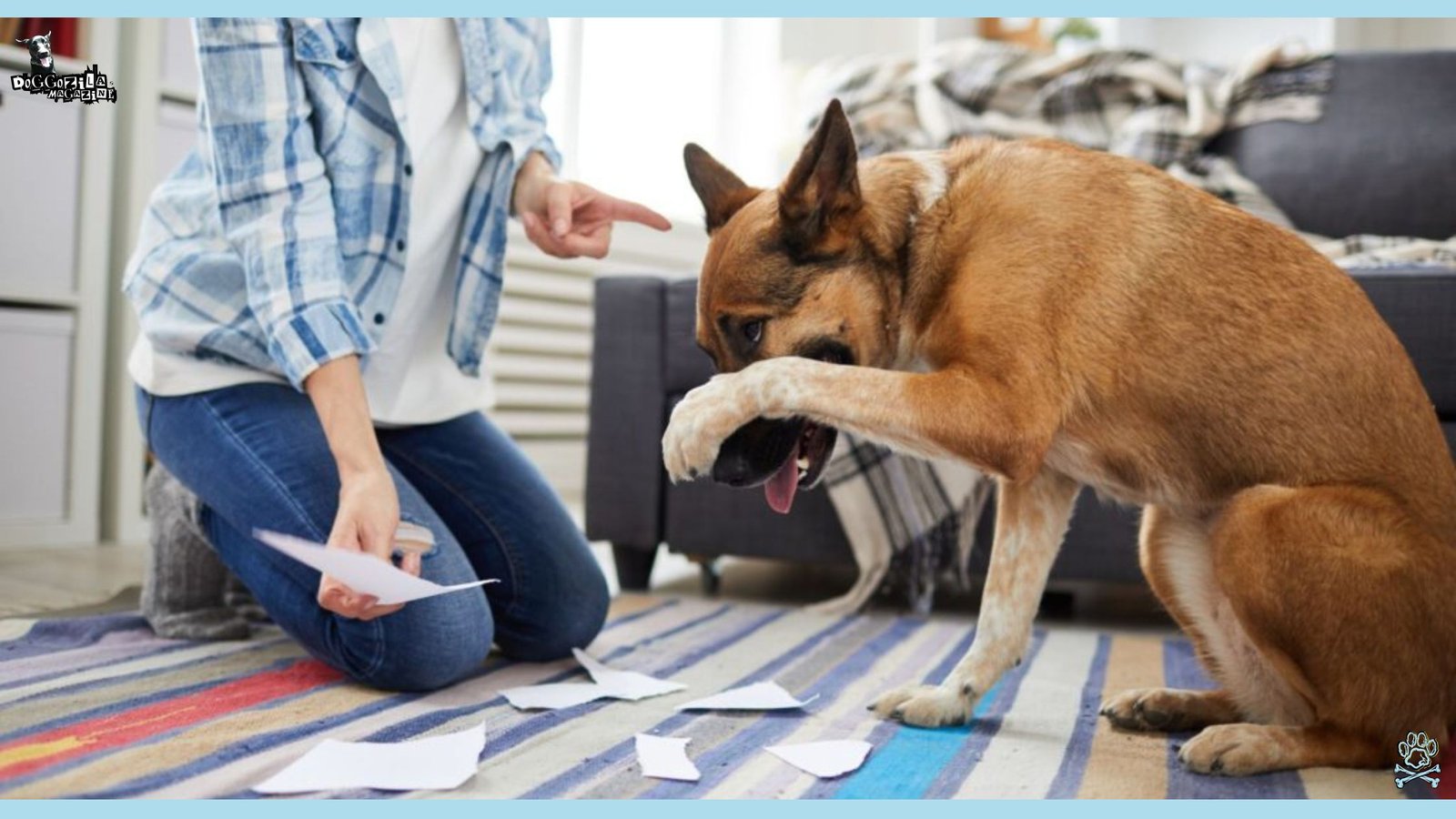 the dog made something he shouldn't