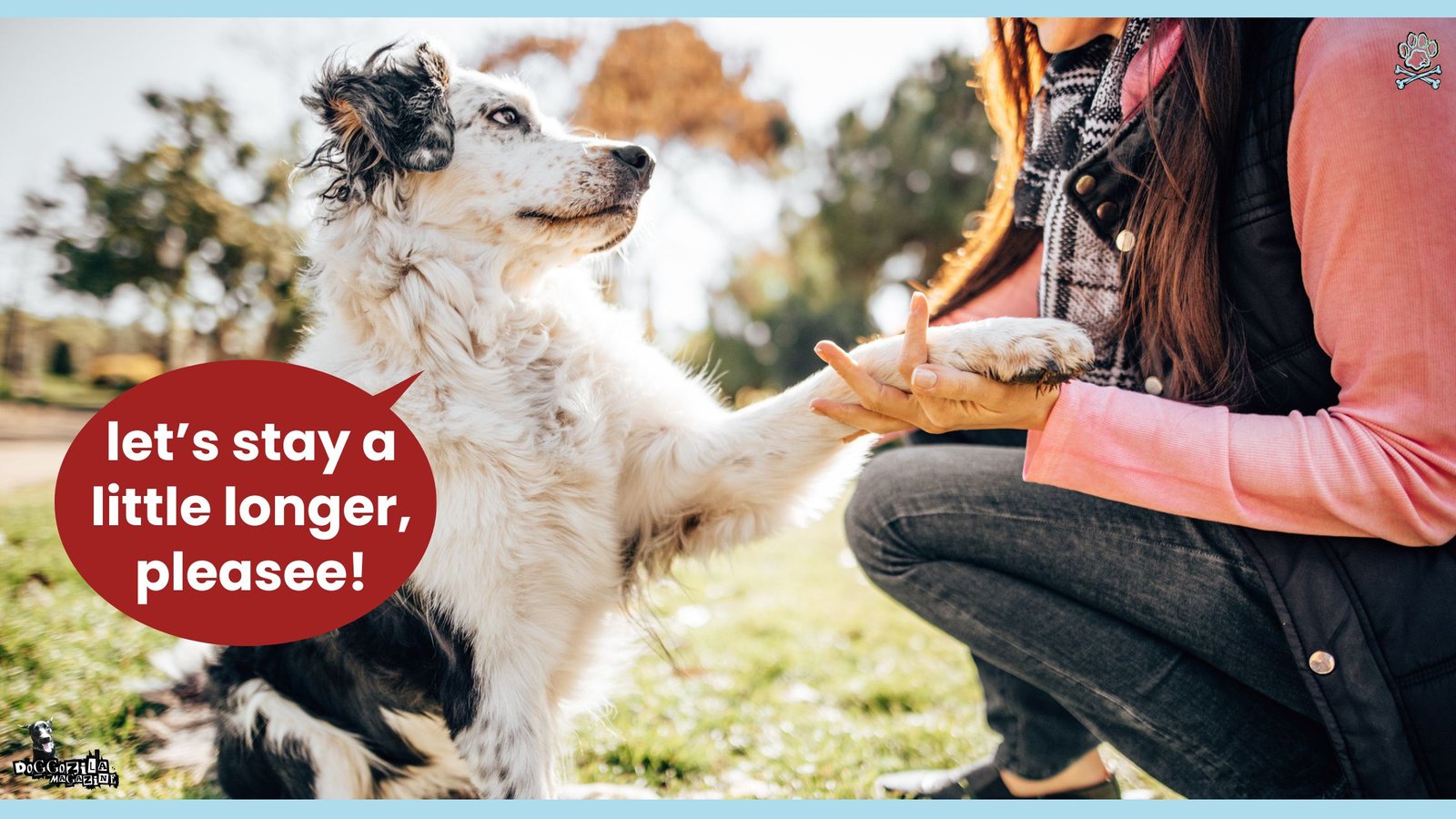 Can dogs talk to humans