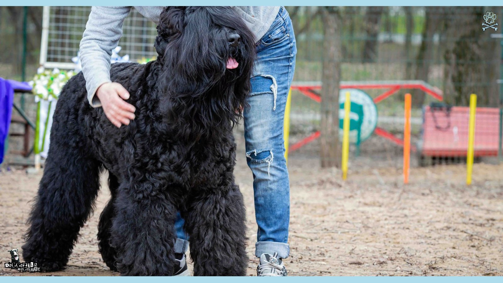 National Black Dog Day
