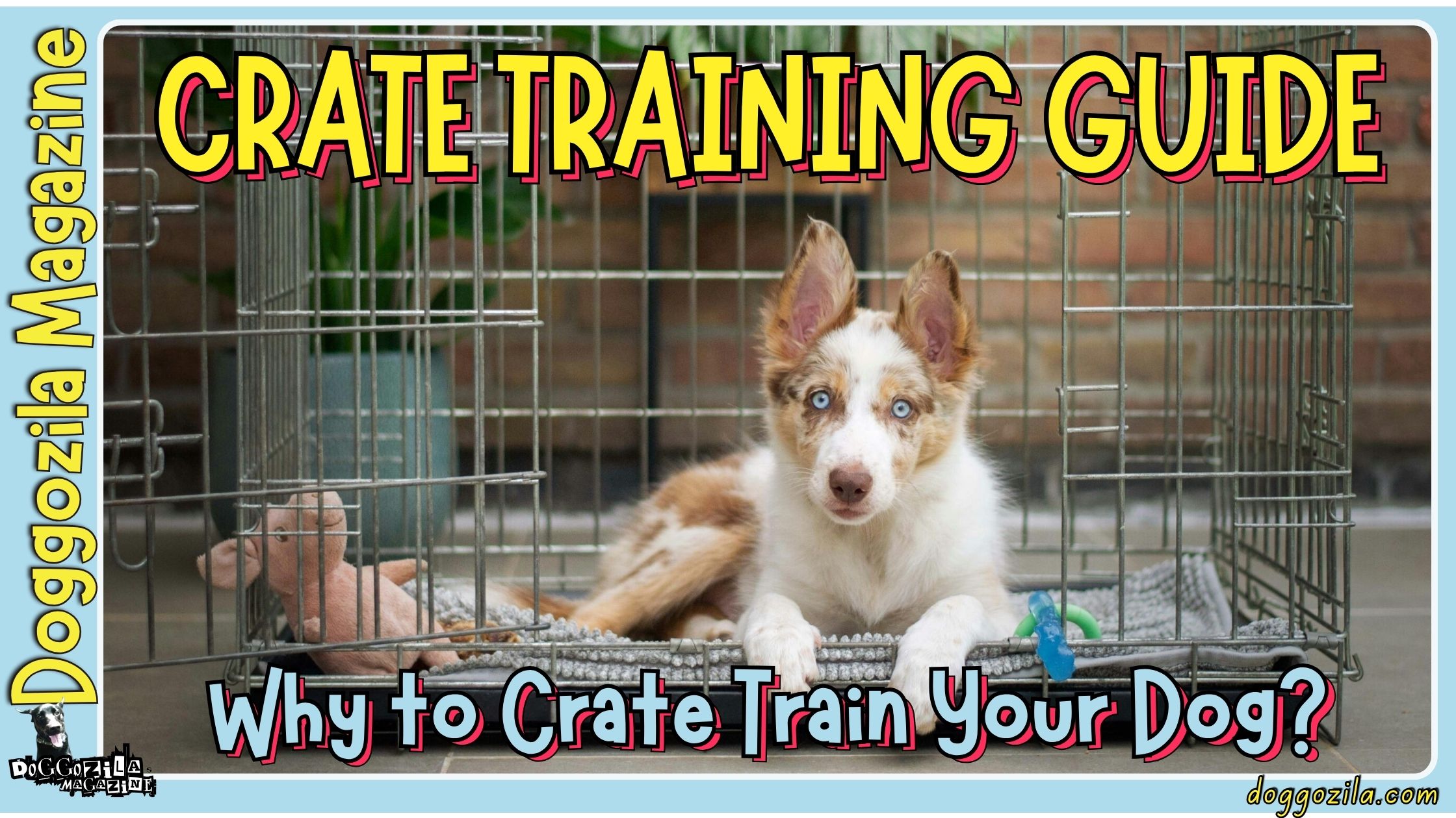 Crate Training Guide and Why to Crate Train Your Dog