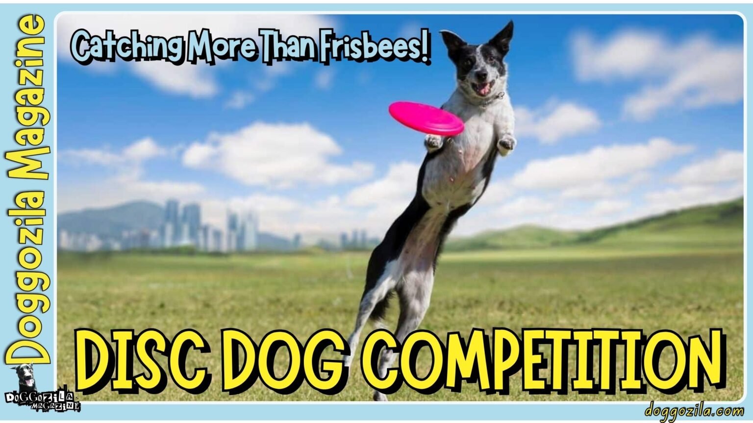 Disc Dog Competition Catching More Than Frisbees